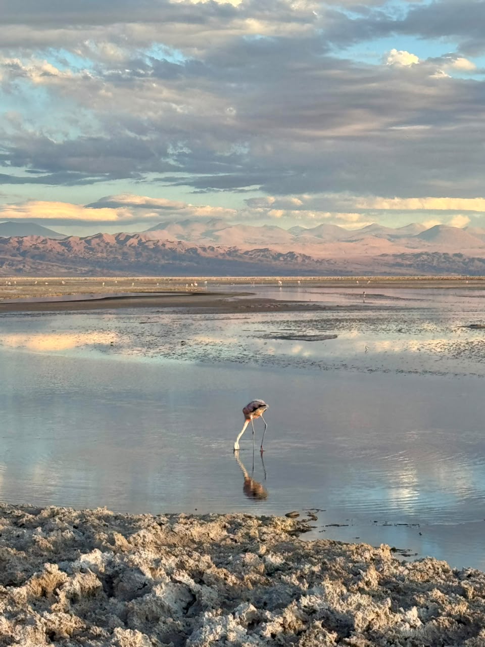 San Pedro de Atacama 3