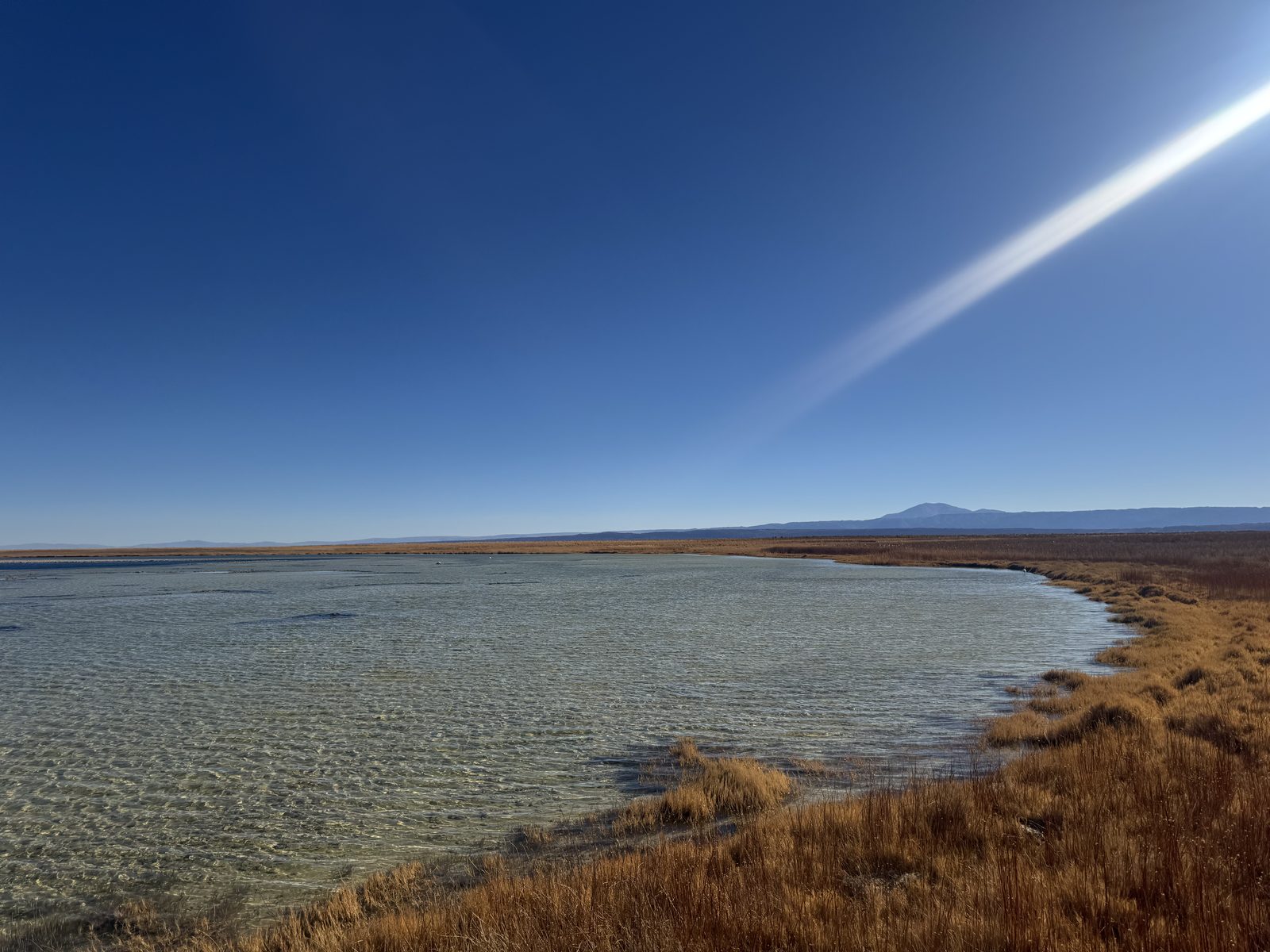 Laguna Cejar 3